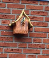 Vogelhuisje 2156 met zijn trotse bewoner